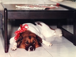 2014-07-22 19.46.10 copy